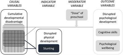 High doses of a national preschool program are associated with the long-term mitigation of adverse outcomes in cognitive development and life satisfaction among children who experience early stunting: a multi-site longitudinal study in Vietnam